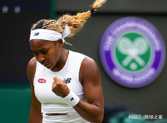 仅展示了双 仅展示了双