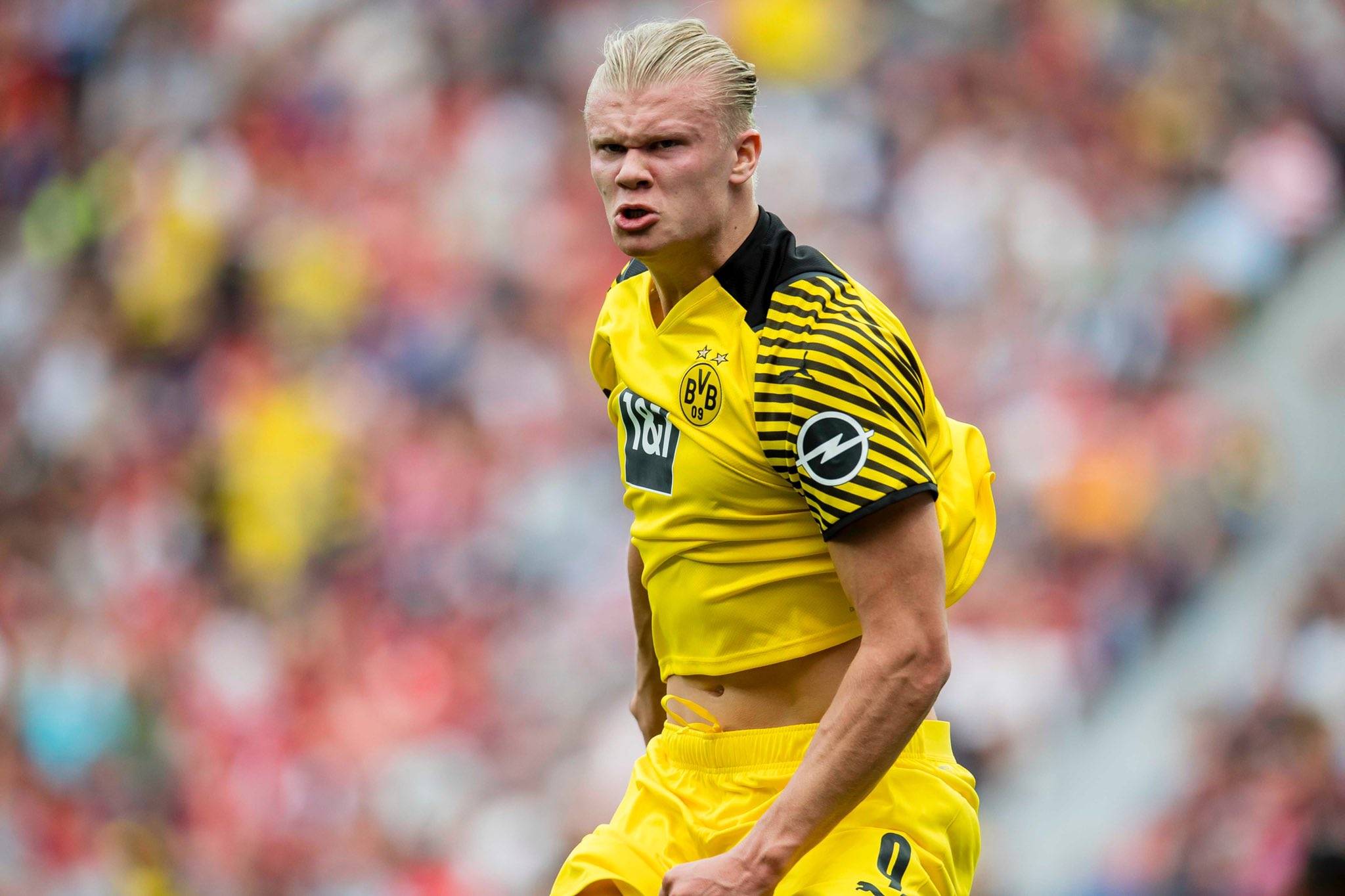 与提前阅读 与提前阅读